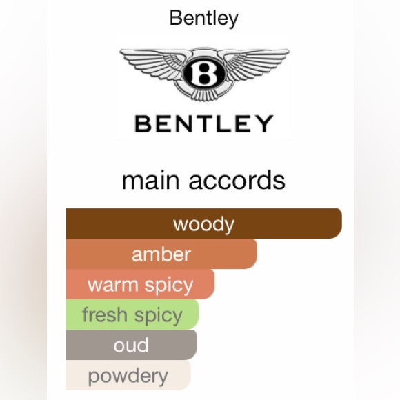 Bentley For Men Absolute 100ml EDP - Picture 4 of 4